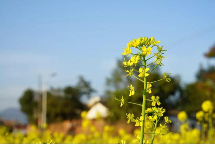 春季該如何預(yù)防控制高血壓？