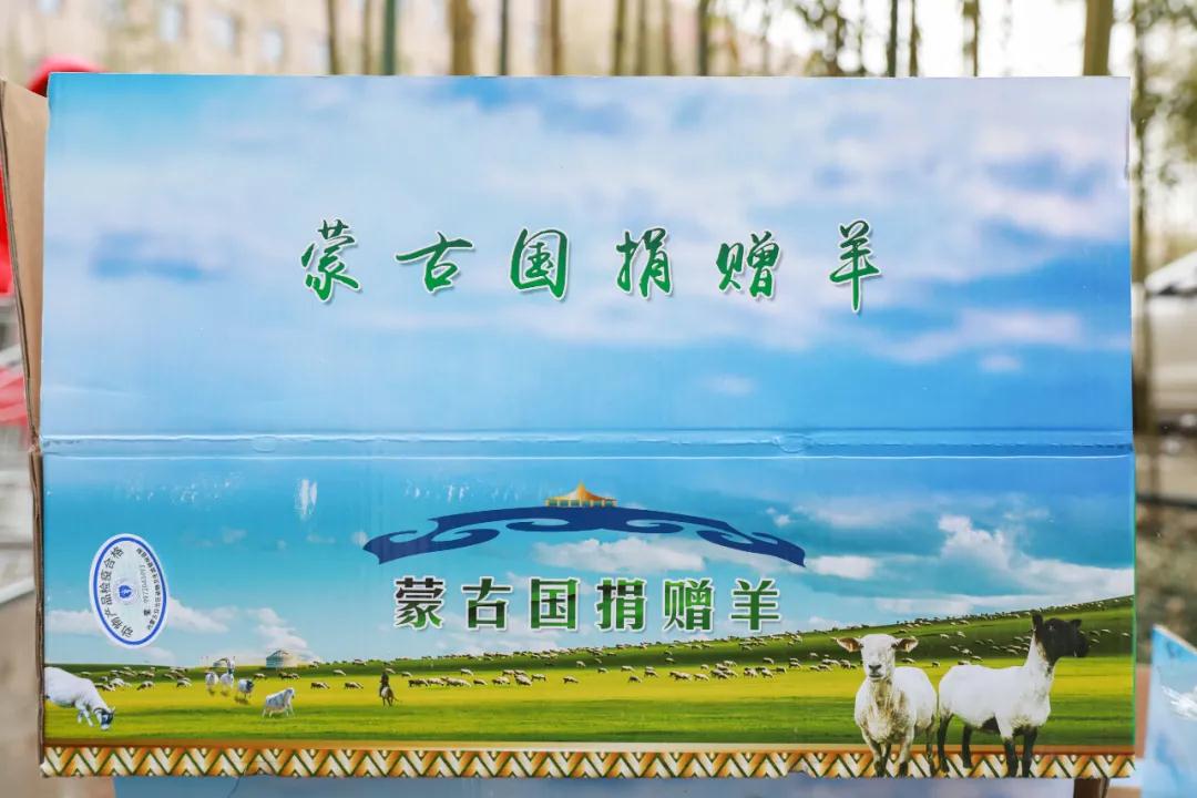 援鄂醫(yī)療隊：“暖羊羊”來啦！