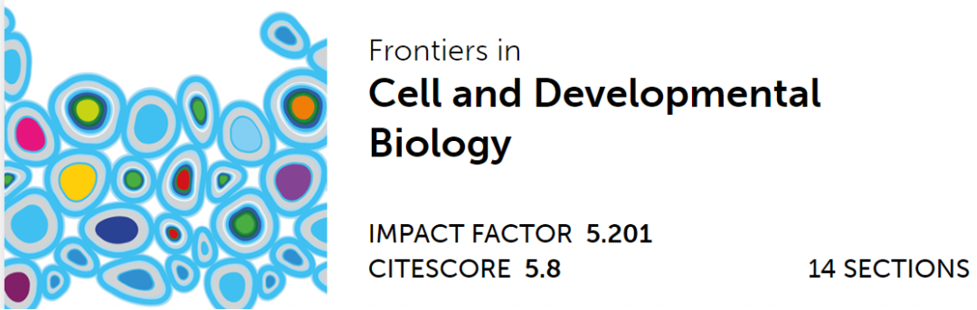 心臟病醫(yī)院王海昌院長科研團隊在心肌病研究領域有新突破！