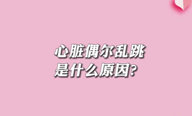 【名醫(yī)面對(duì)面之心臟100問】心臟偶爾亂跳是什么原因？