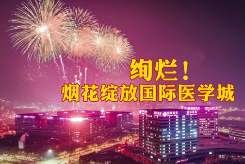 絢爛！煙花綻放國際醫(yī)學(xué)城